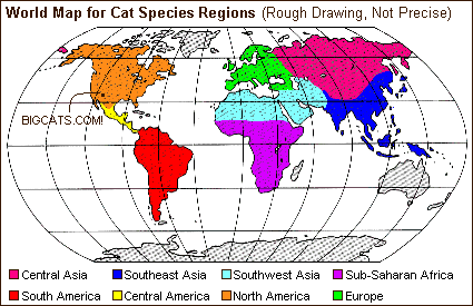 World Map of Cat Species